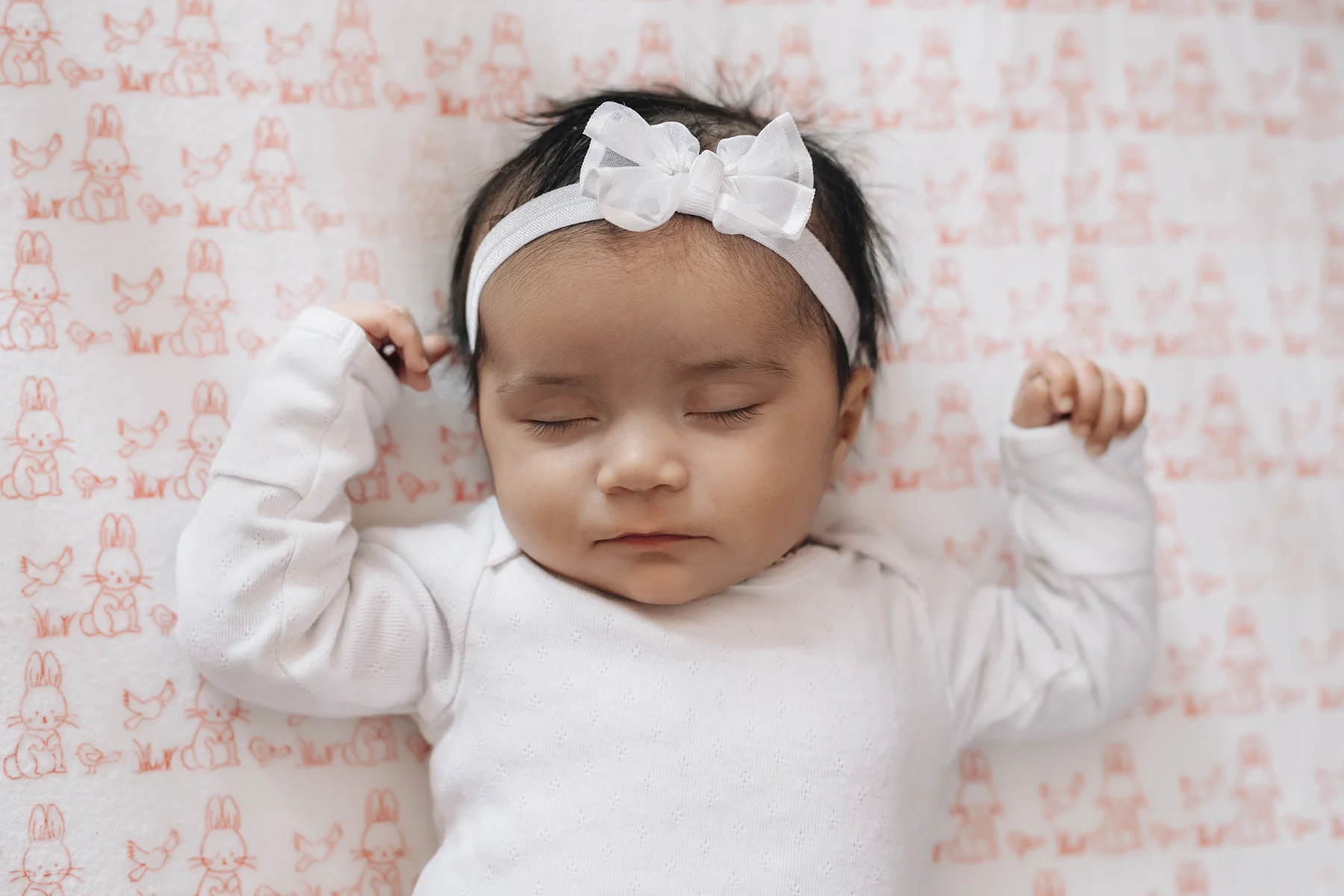 Margot_5943_Photo by Lindsey Gibeau.jpg