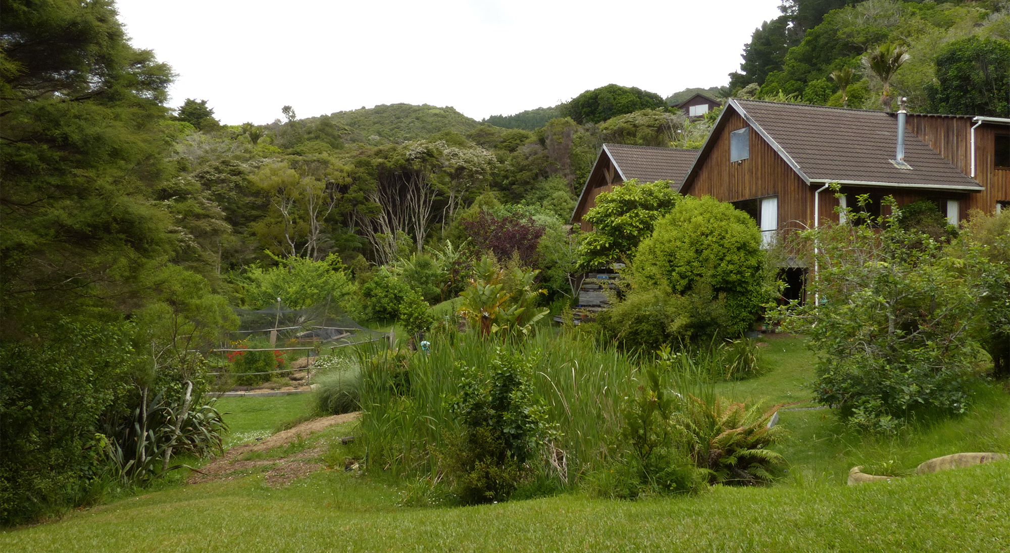 Building from garden_sml desat.jpg