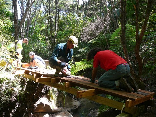 03 bridge building.jpg