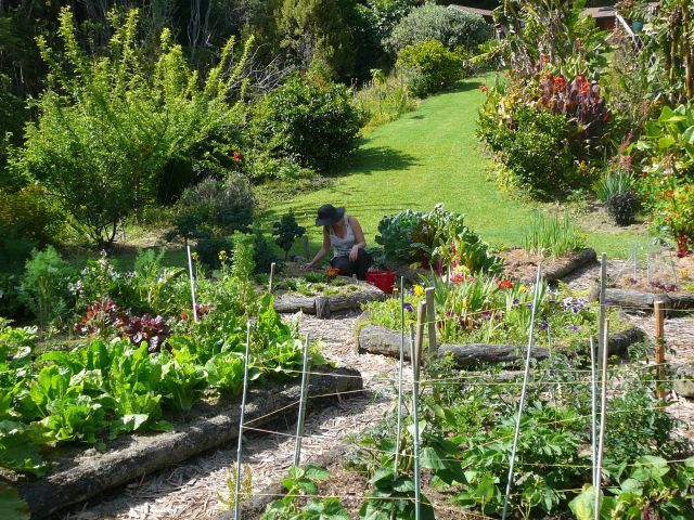 05 garden work meditation.jpg