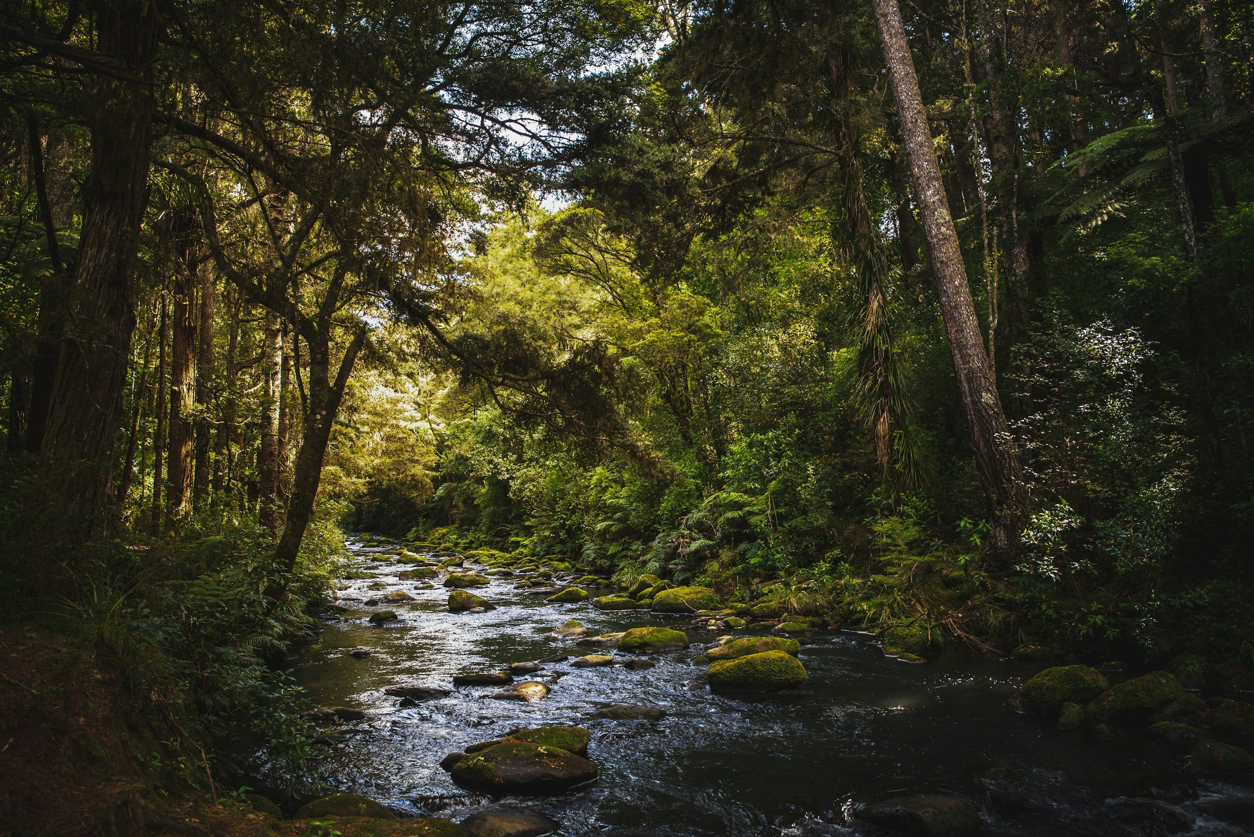 June Public Day of Mindfulness