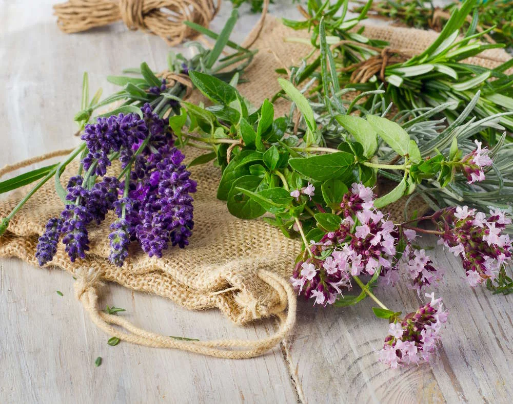 levendar-sprigs-fragrences-sachet-bag-table.jpg