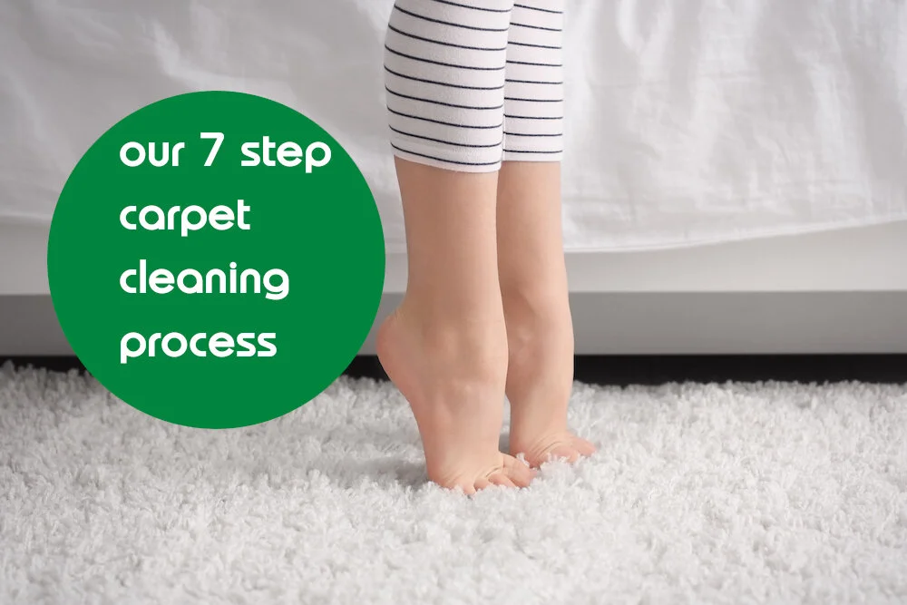 Leading Organic Carpet Cleaning Service in Phoenix Ahwatukee