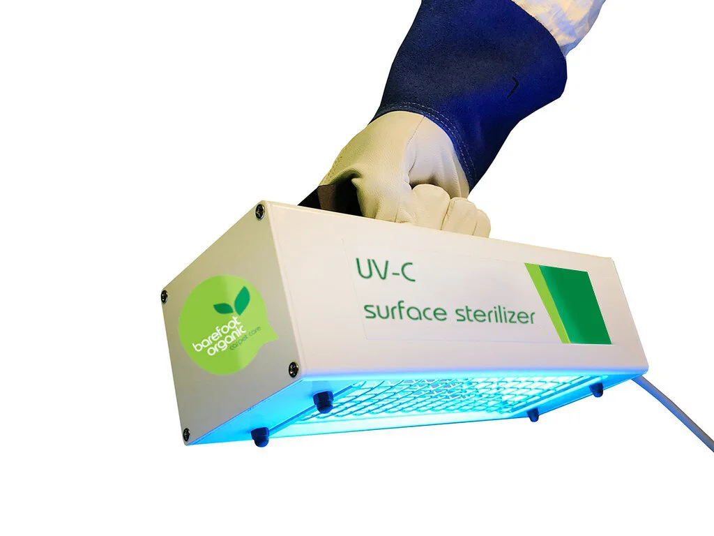 Leading Organic Carpet Cleaning Service in Phoenix Ahwatukee