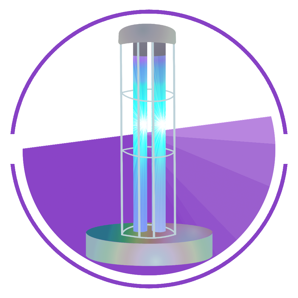 Leading Organic Carpet Cleaning Service in Phoenix Ahwatukee