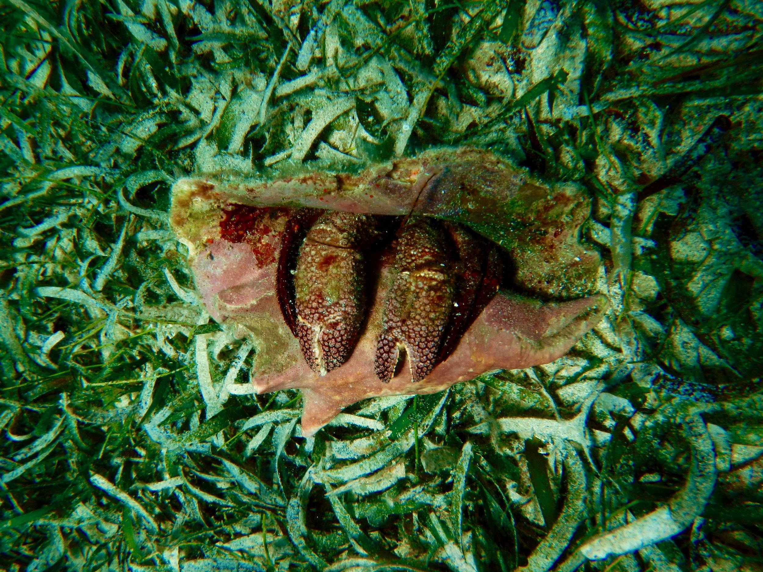 DSCN4553.jpg