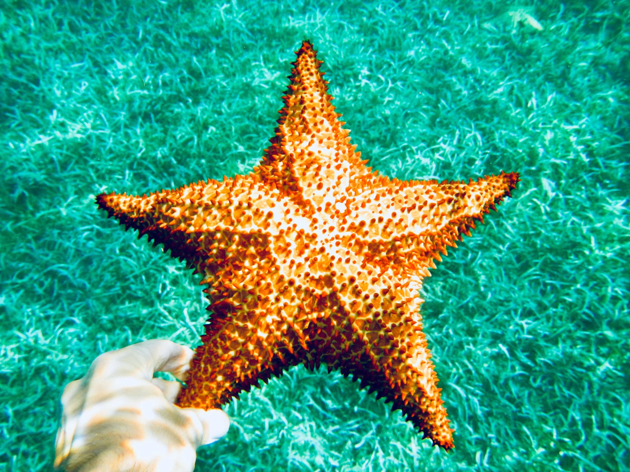 DSCN4619.jpg