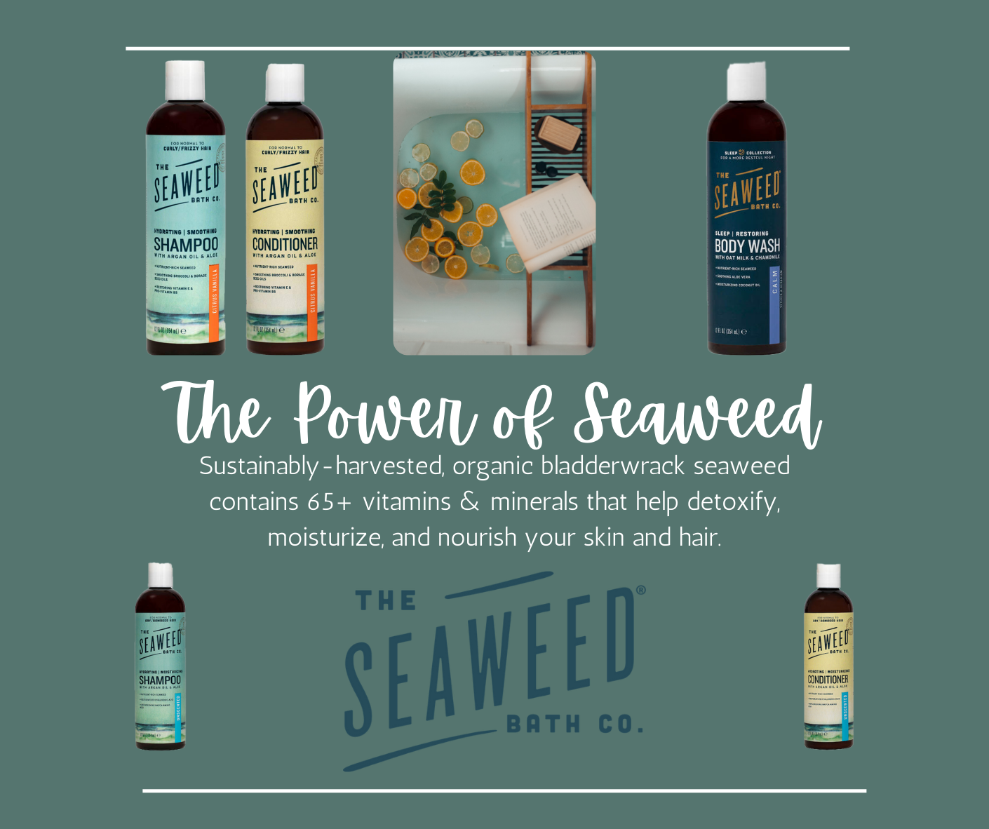 Seaweed.png