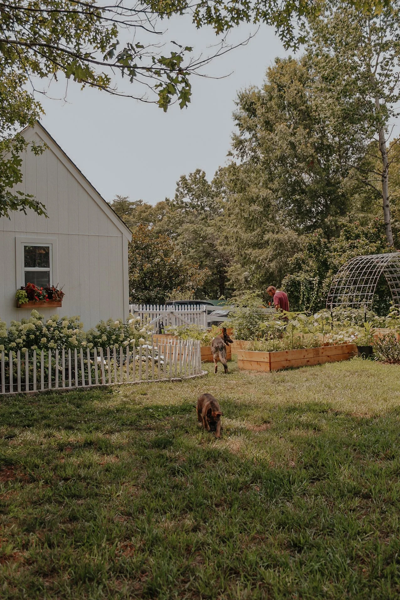 A WEEKEND IN THE GARDEN
