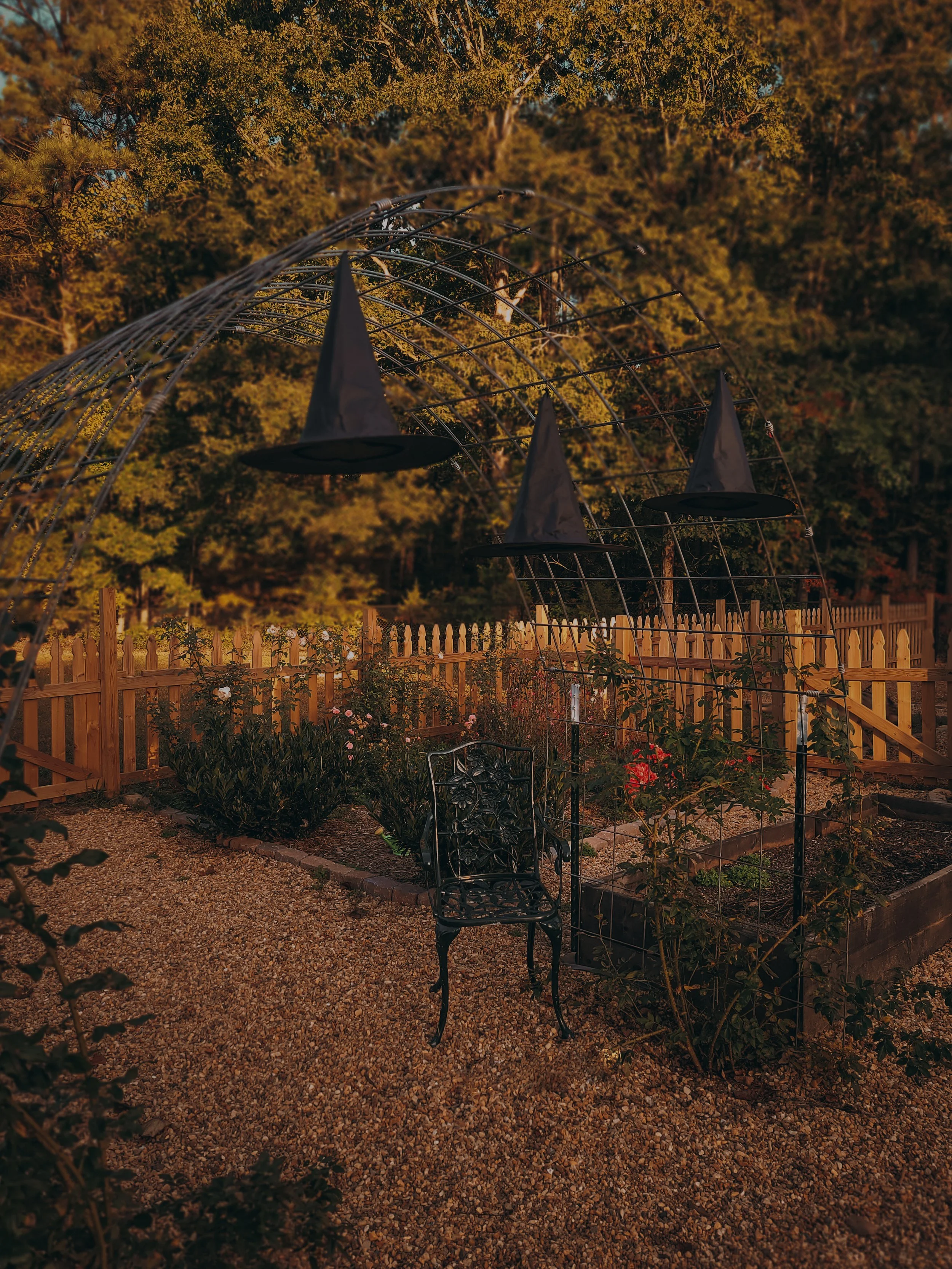 COOL CRISP NIGHTS &amp; HALLOWEEN FRIGHTS