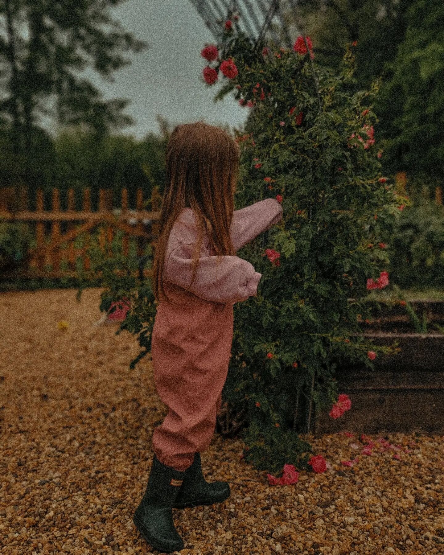 Babies and roses grow a lot in a year 🥺🥀