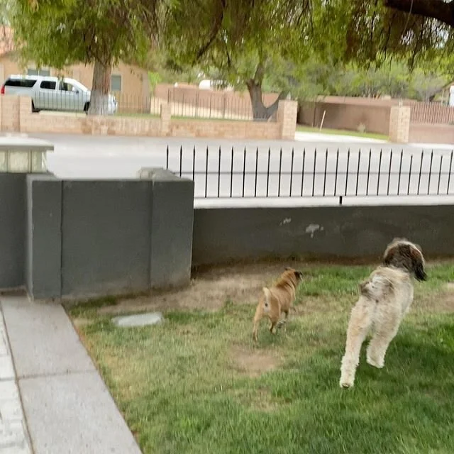 When you can&rsquo;t have them over but they give #zerofuks and decide to give  the neighborhood a parade!! Best family in that world!! Best birthday!! Thank you to everyone who let the world know it&rsquo;s my burfday!🤙