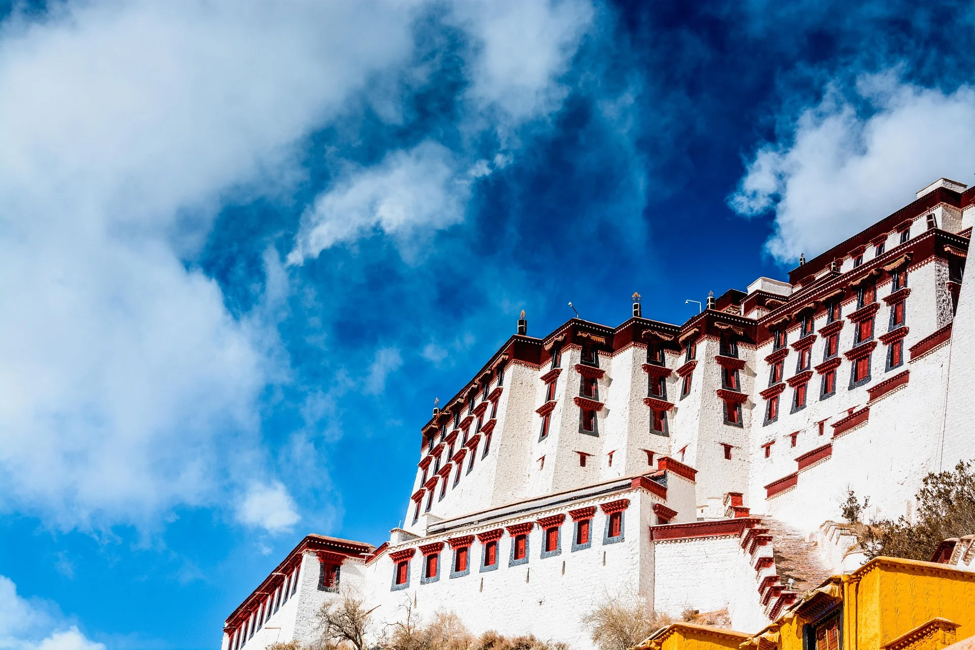 lhasa-2067490_1920.jpg