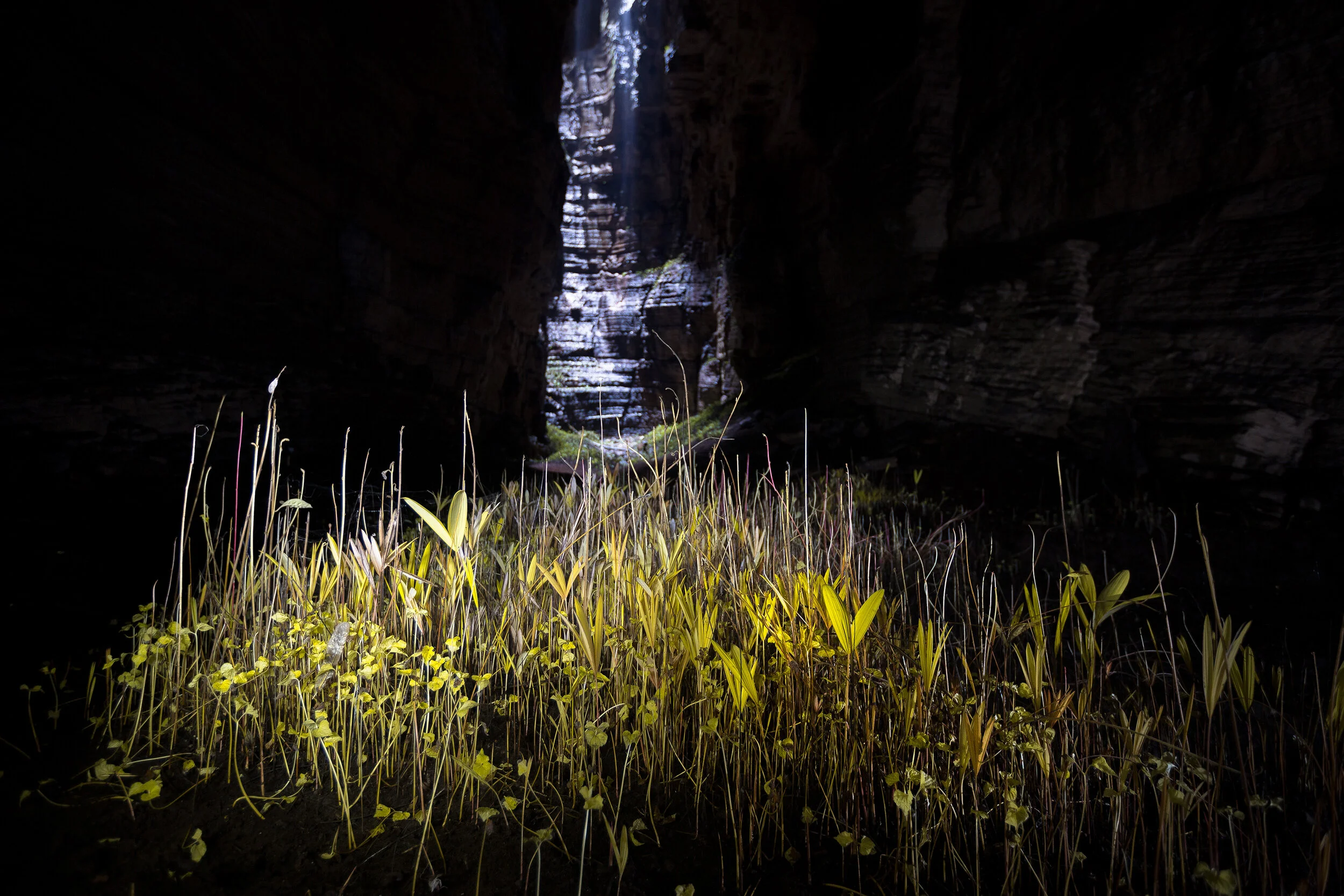 Tayos18 - eoincarey_0505lr.jpg