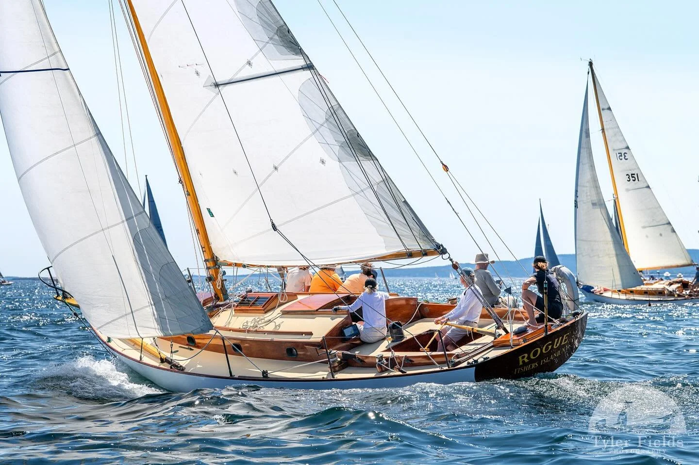 ROGUE | Newport 29