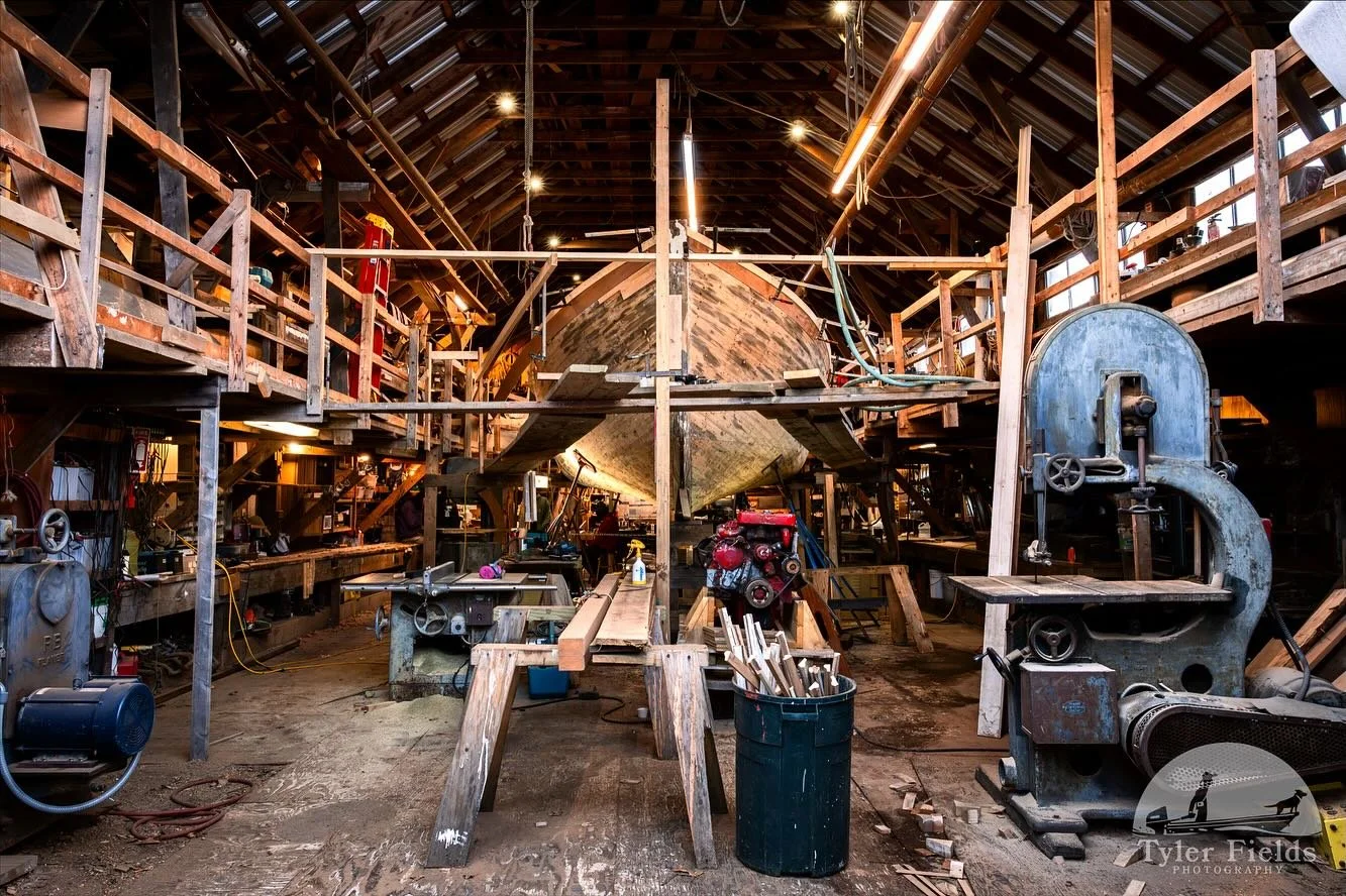 MUGWUMP

What do we think, gang?