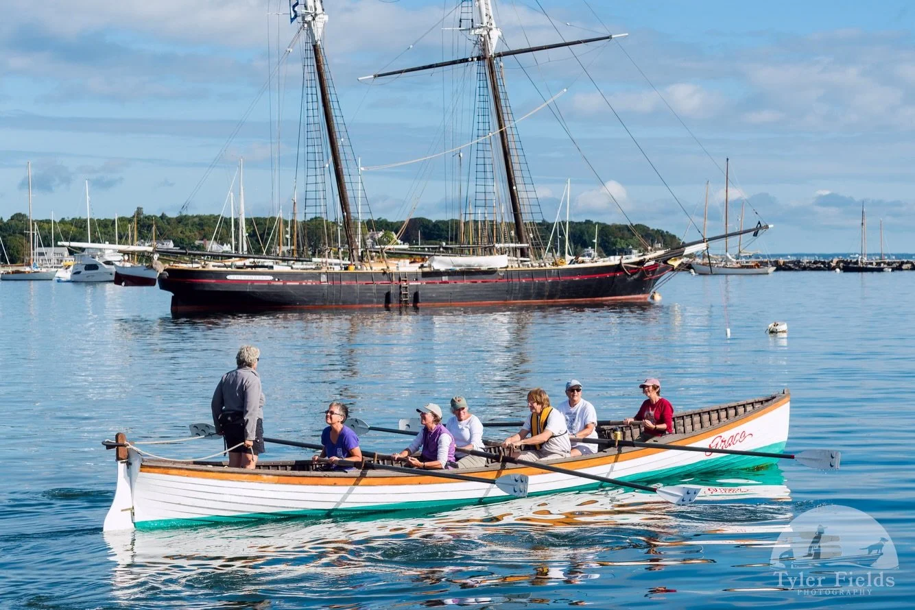 It&rsquo;s Sunday, it&rsquo;s snowing, and I&rsquo;m running out of ideas. 

Alright, I&rsquo;ll play along with the trend too. 

I saw some pretty cool things in 2016.