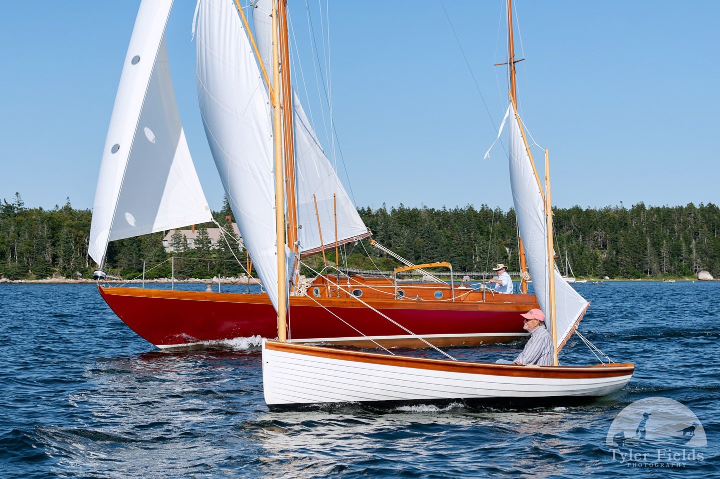 Just a couple of old boats.