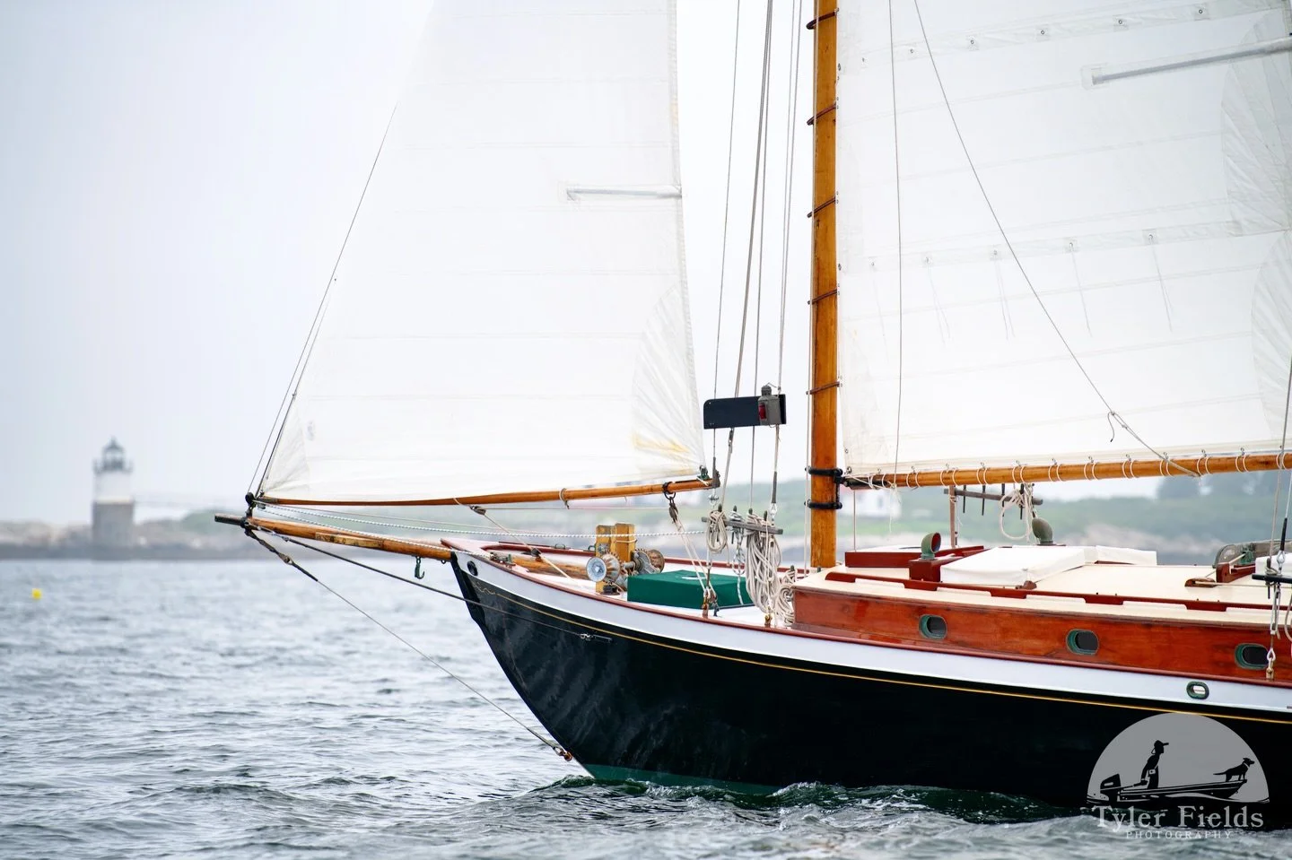 BLACKBIRD | @boothbayregatta