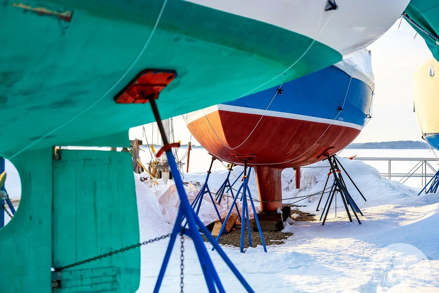 DETAILS | Spring-ish

It might be momentary, but it feels like spring is coming.