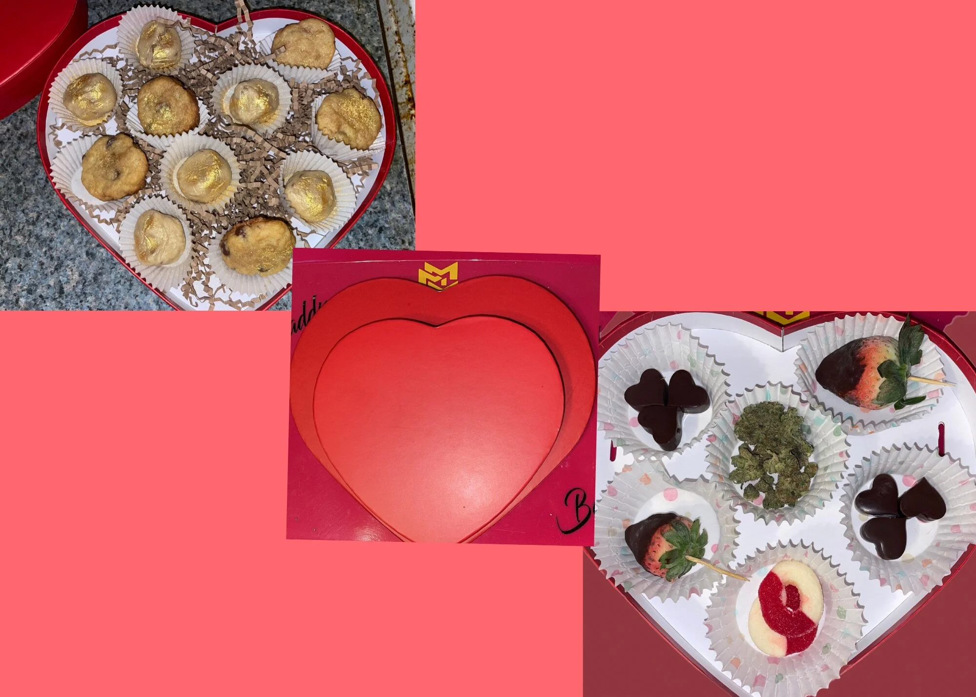 F78ADBB1-569C-4011-9111-054680DA032C