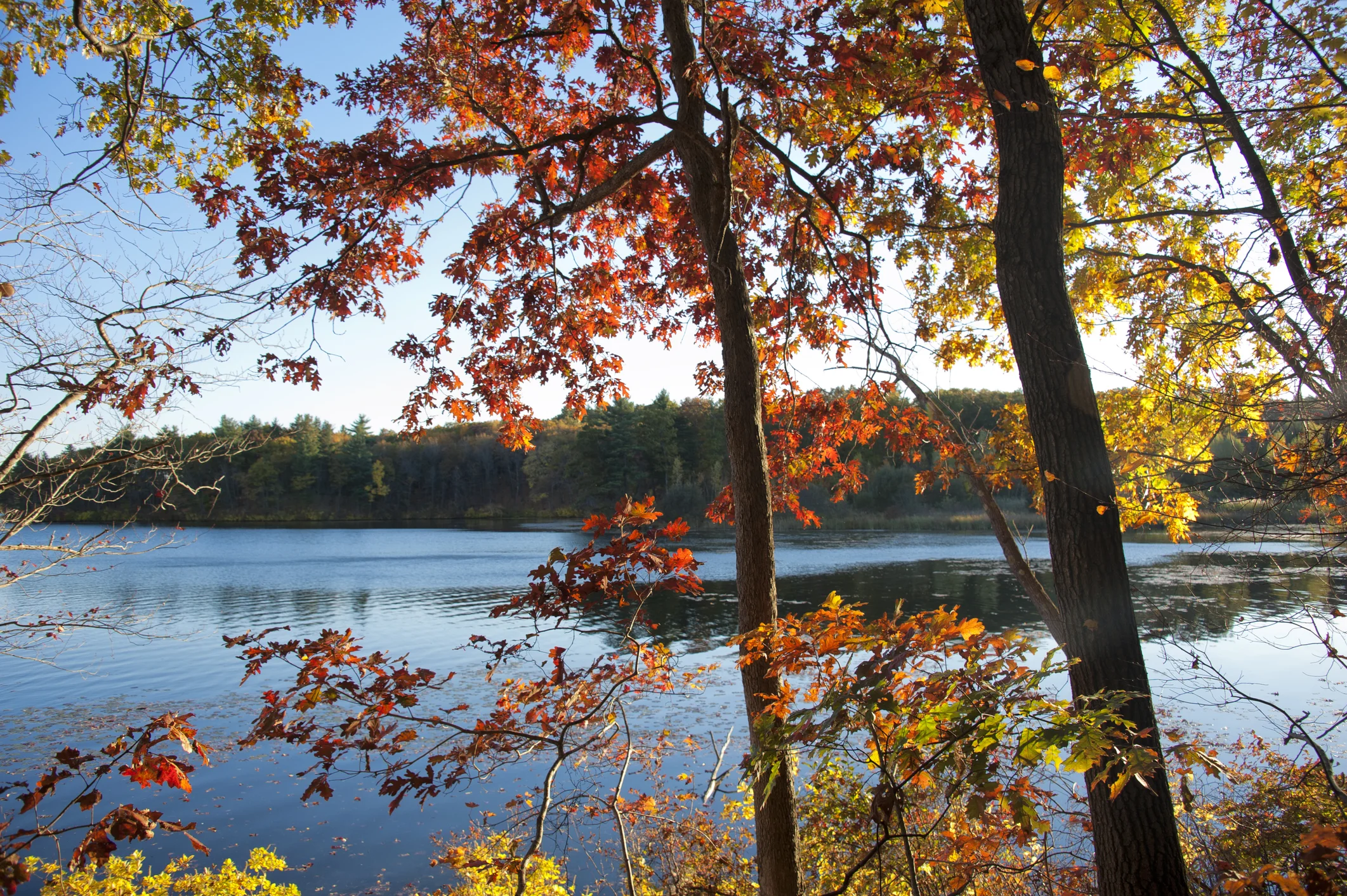 Part 2: Compelling Position Descriptions = Compelling Candidates