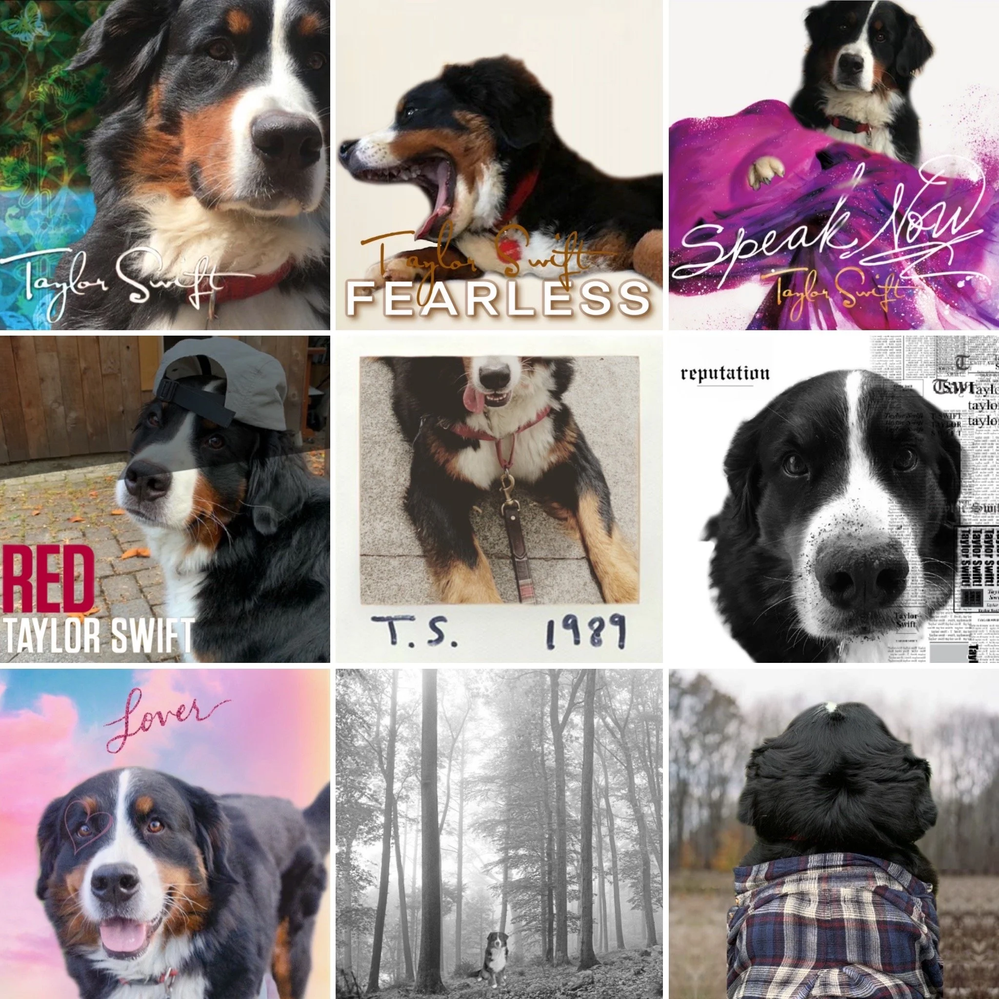 Music + Movement of the Week