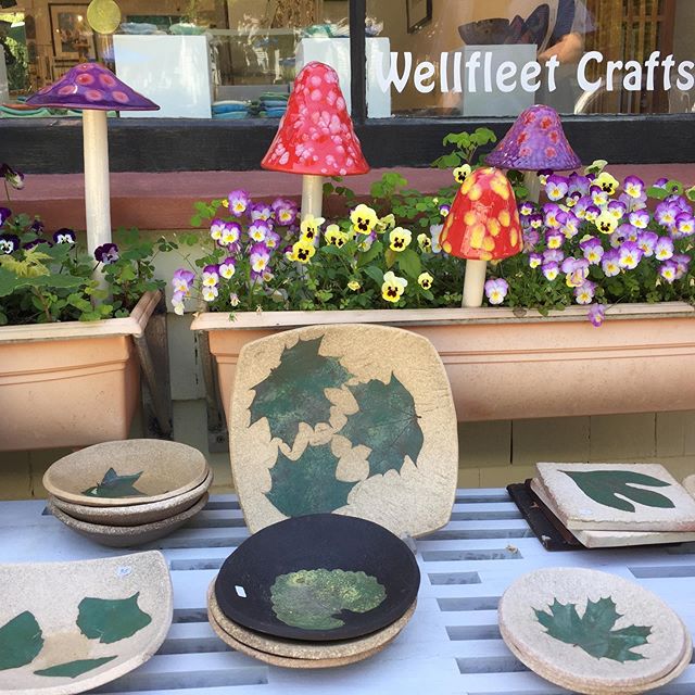 Mushrooms &amp; Petrified Forest Pottery #wellfleet #capecod #capecodlife #leafpottery #mushrooms #ceramicmushrooms