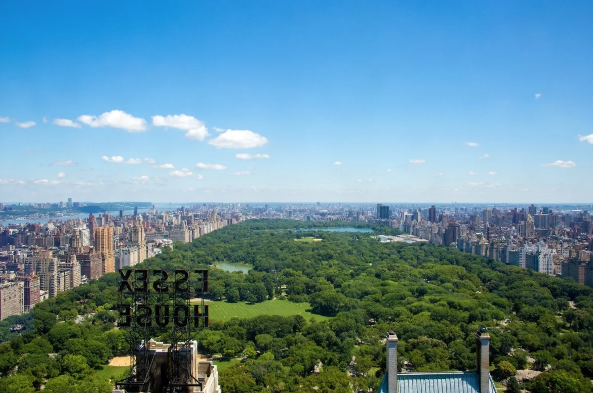 Central Park View.jpg