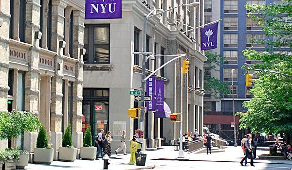 纽约大学NYU