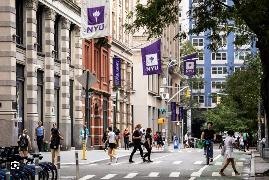 04-nyu.webp