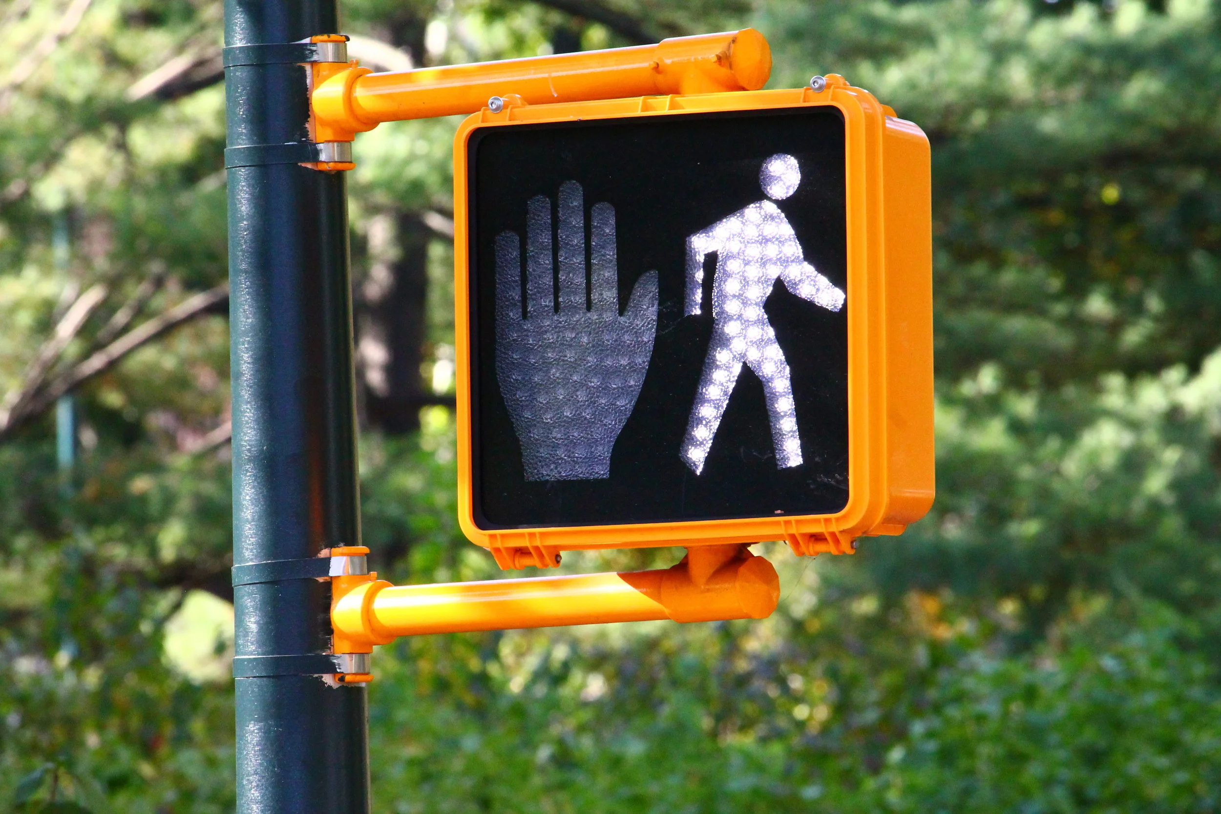 Traffic_Light_Central_Park.JPG