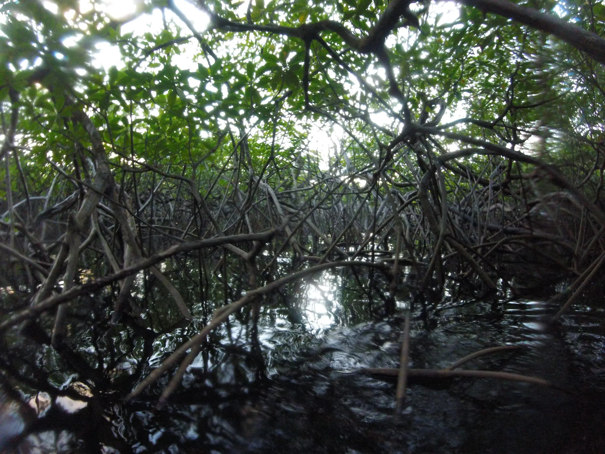 GOPR1626.JPG
