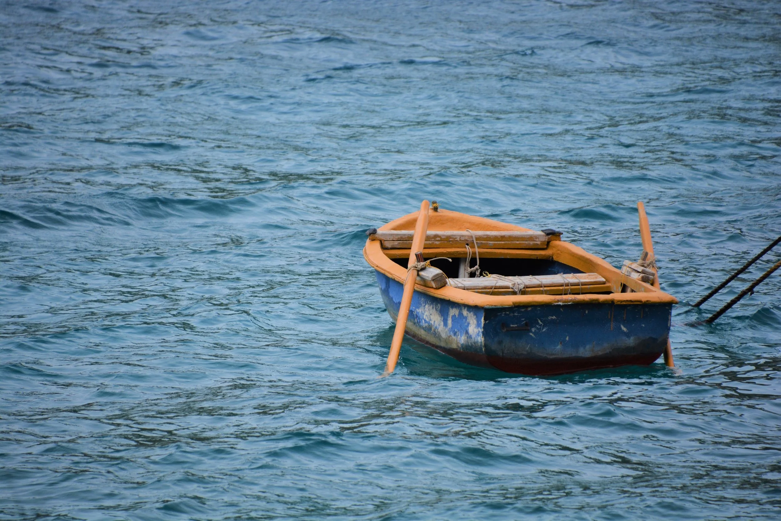 DSC_7530.JPG