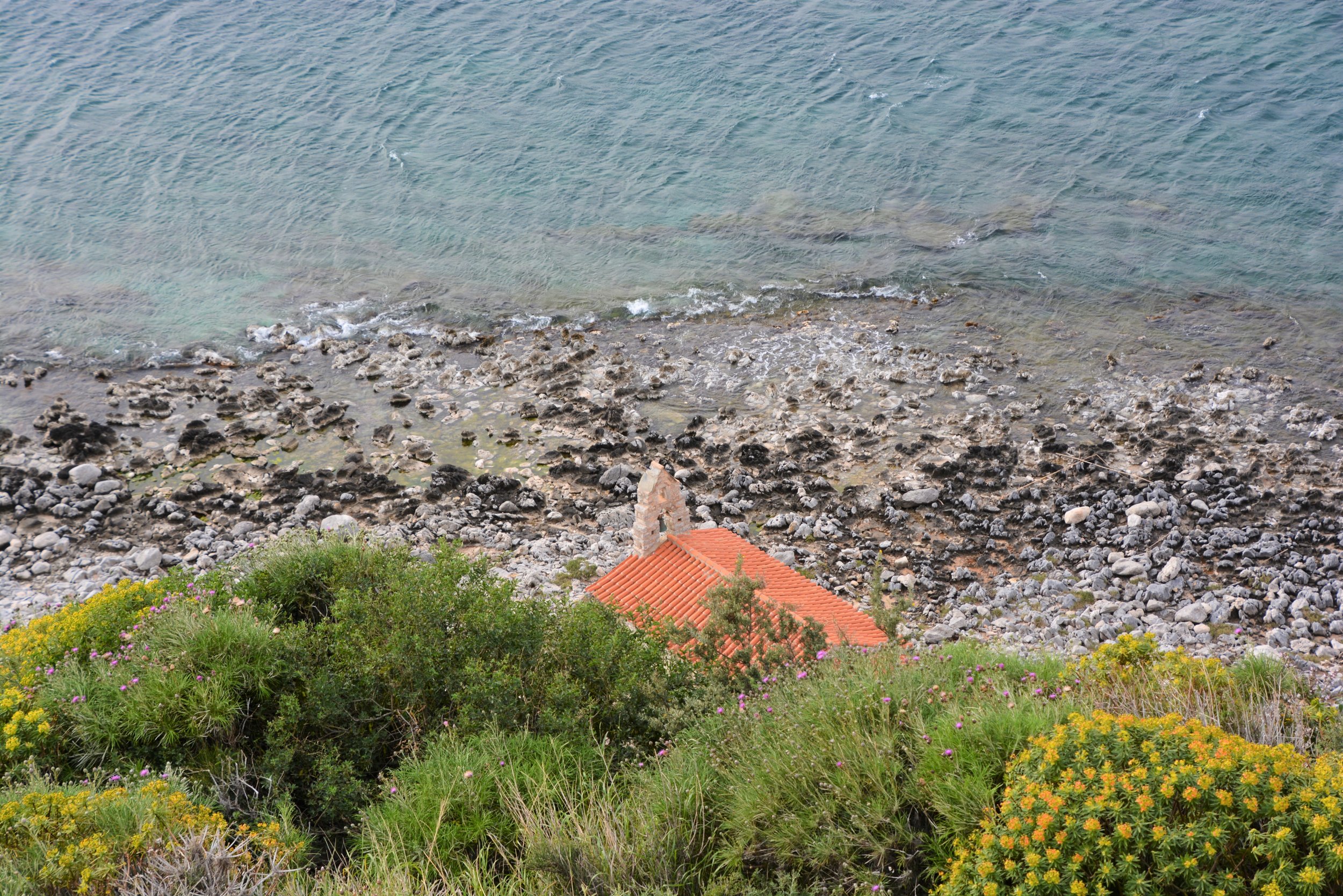 DSC_7495.JPG