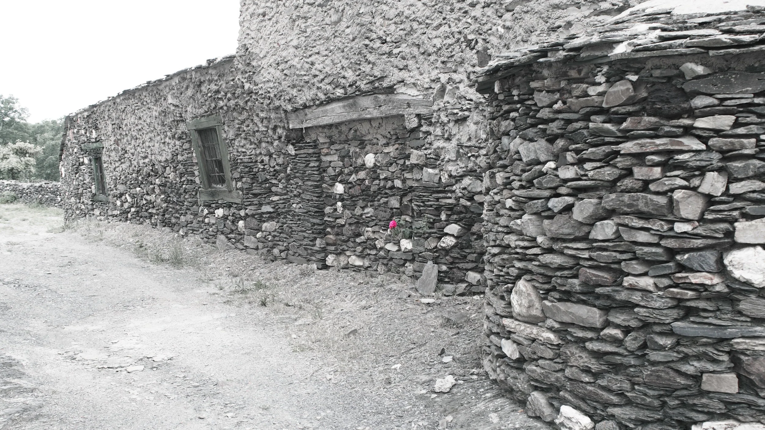 P6051881.JPG