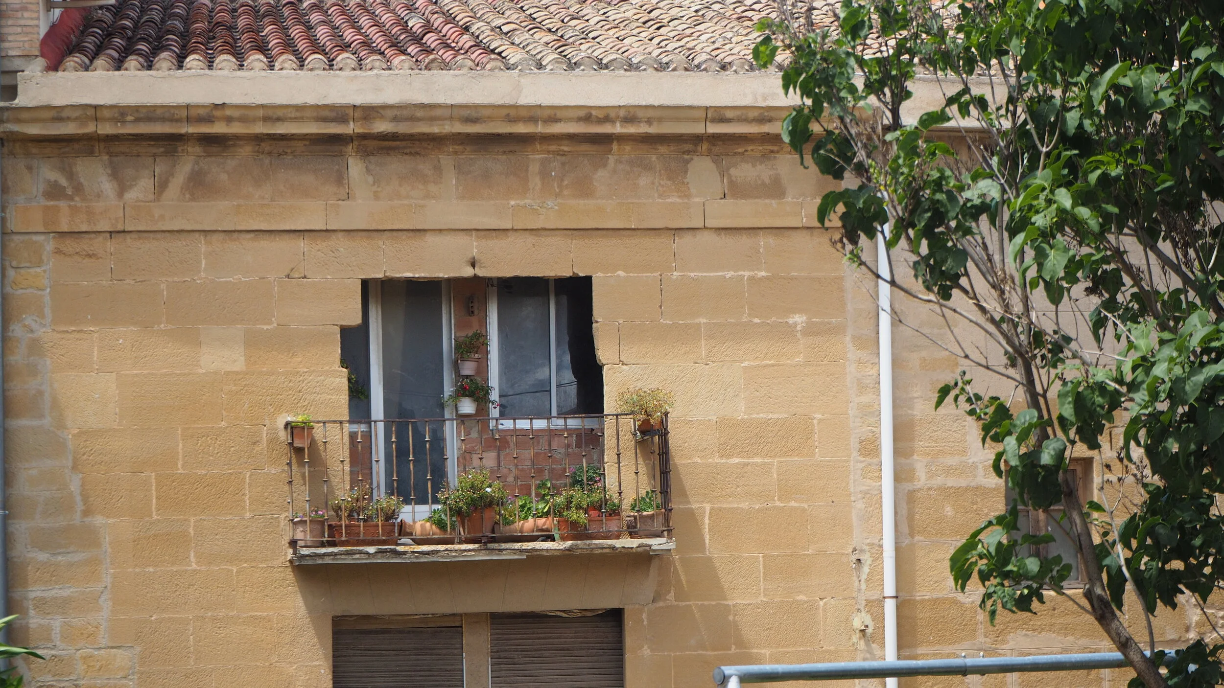 P6191752.JPG