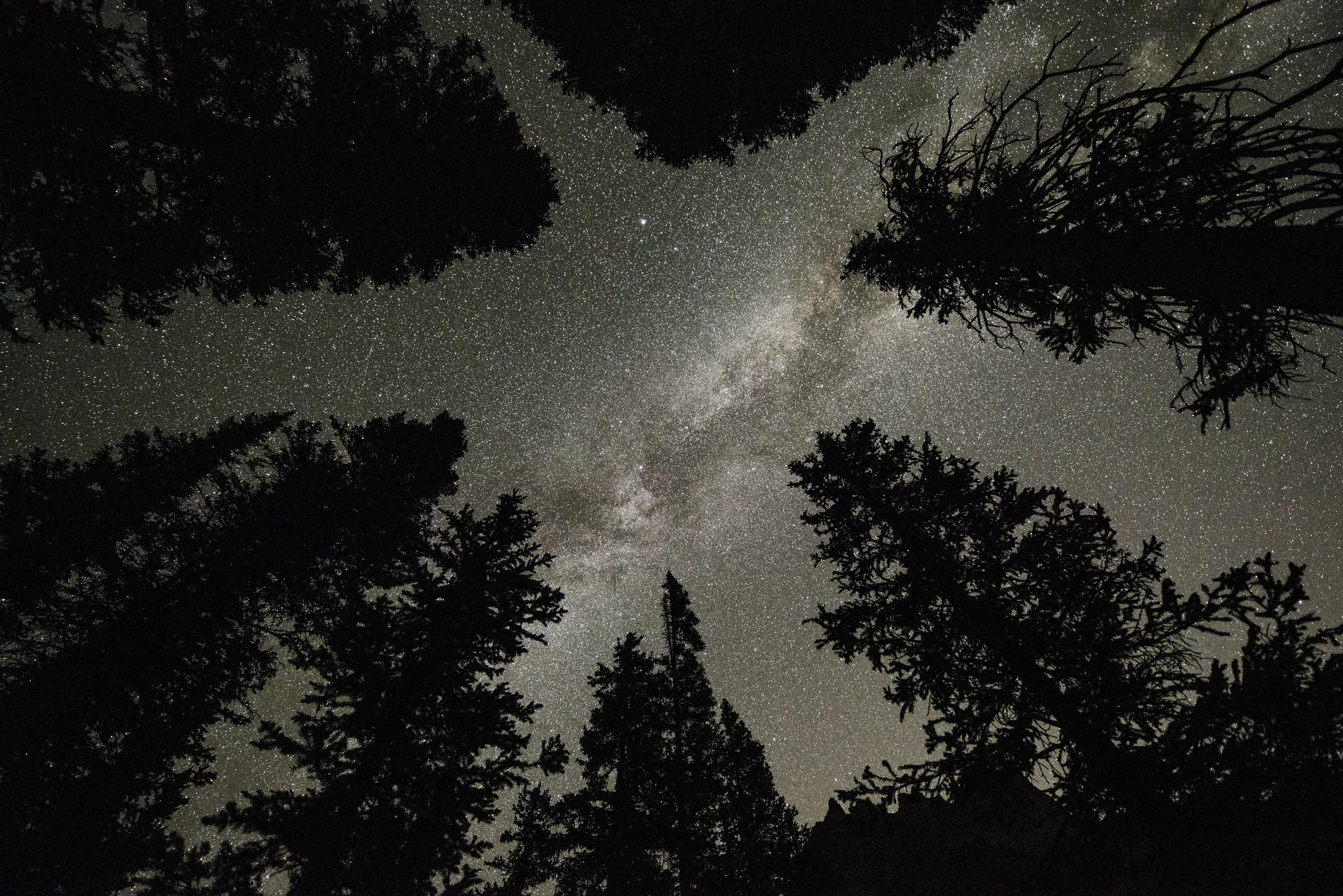mirror lake (1 of 1)-40.jpg
