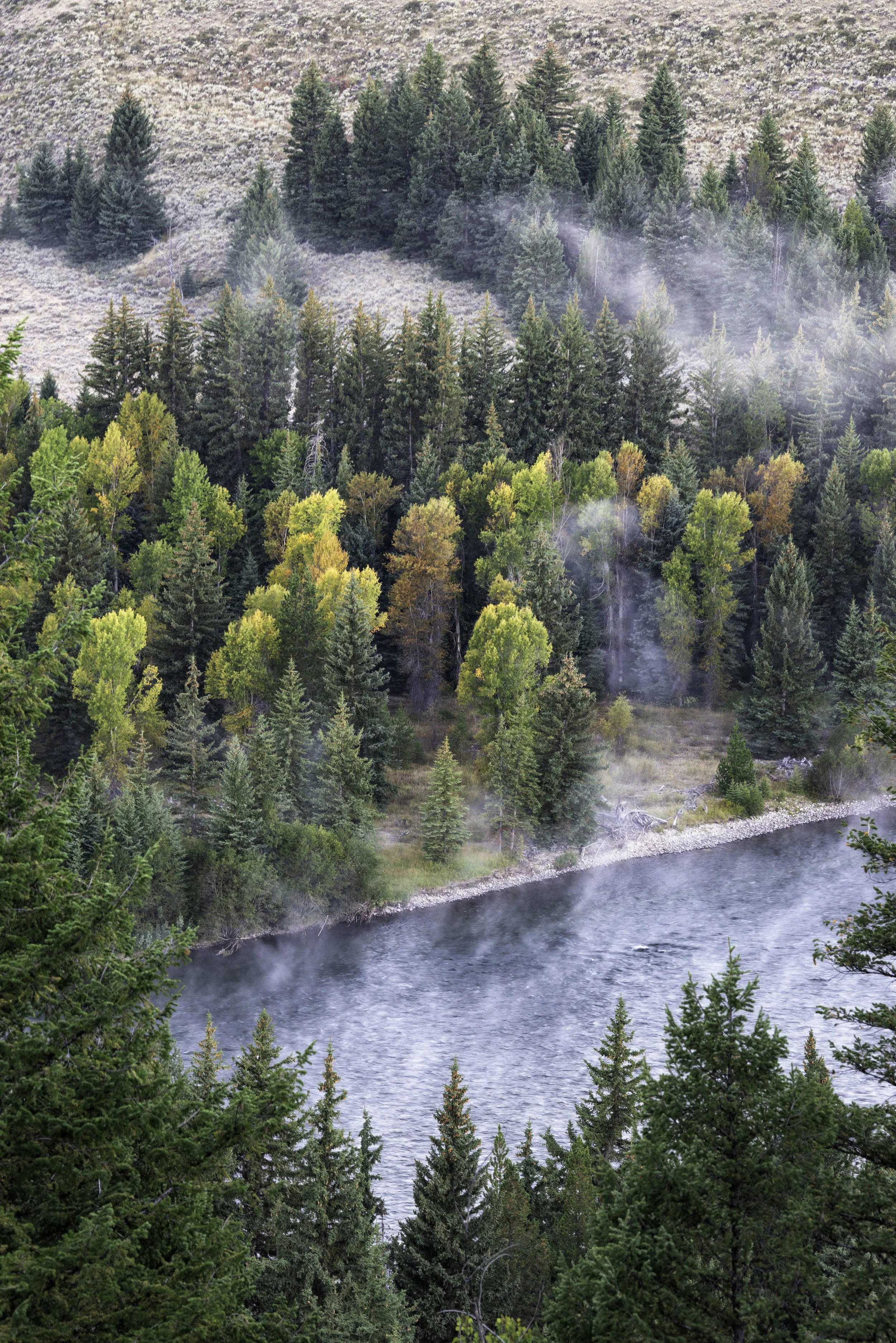 snake river overlook 7.jpg