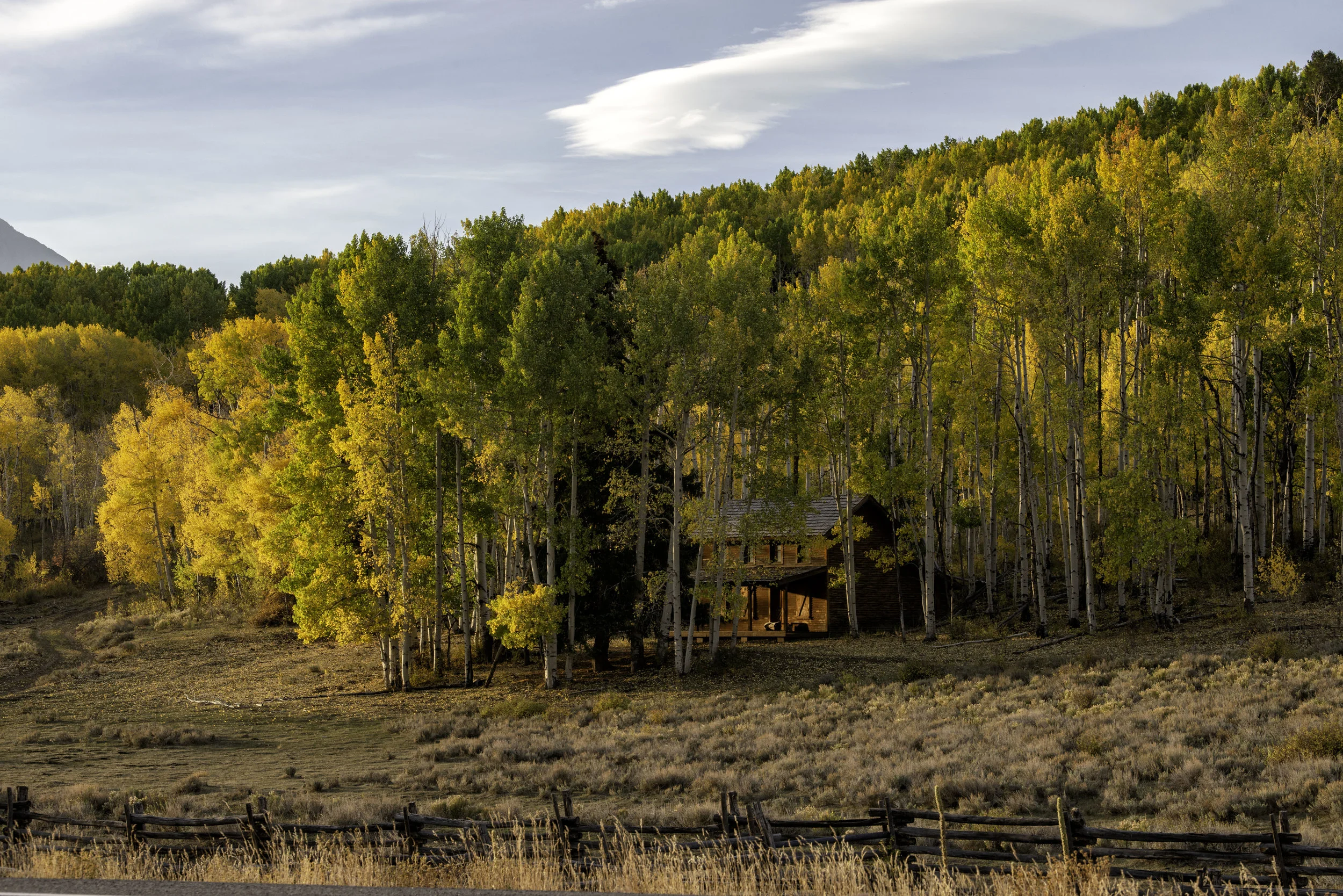 cabin pro contrast.jpg