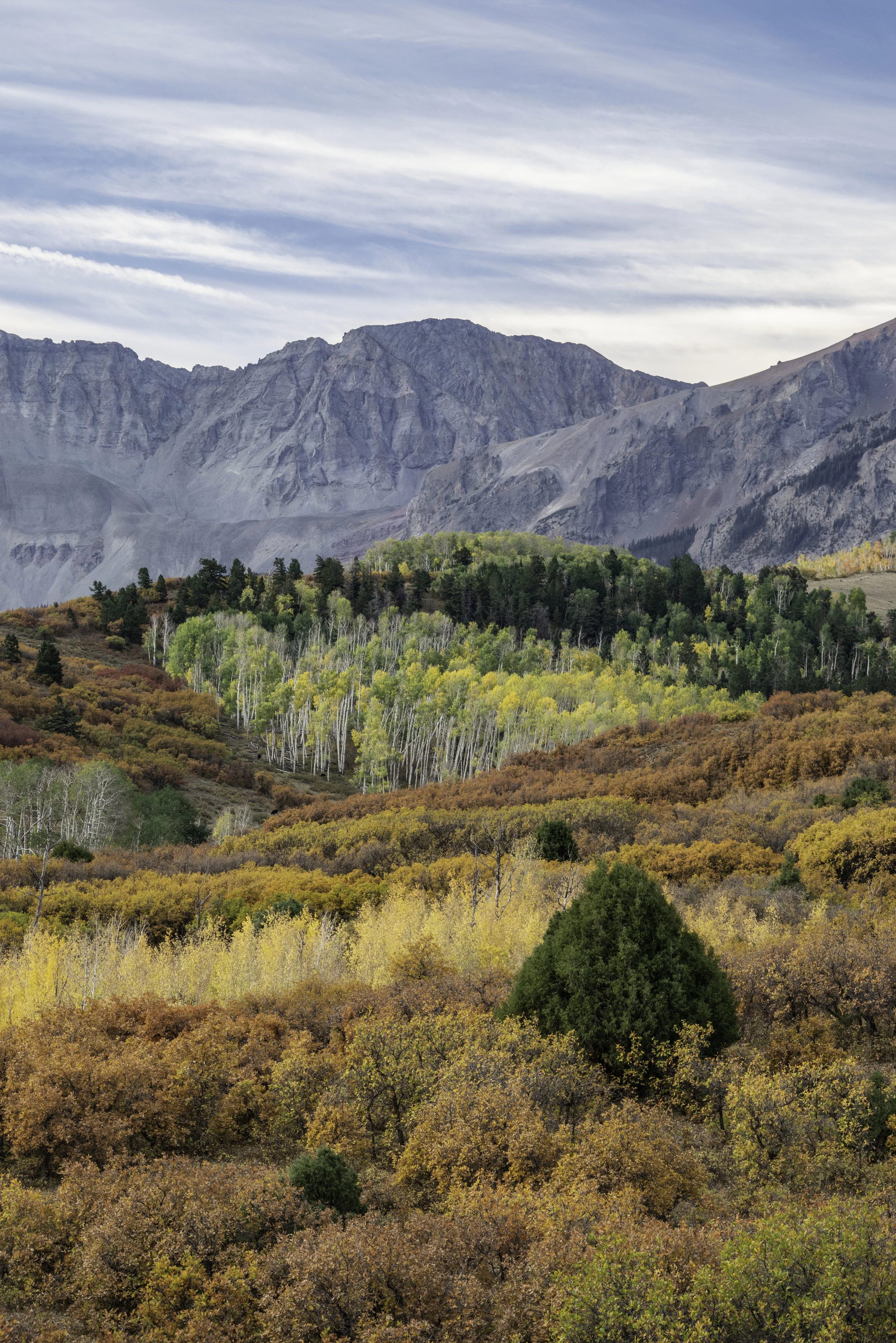 aspen layers (1 of 1)-2.jpg