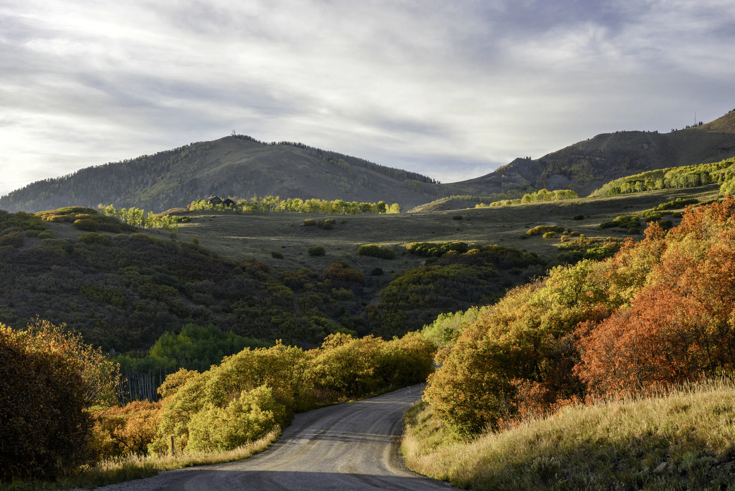 last dollar road 5.jpg