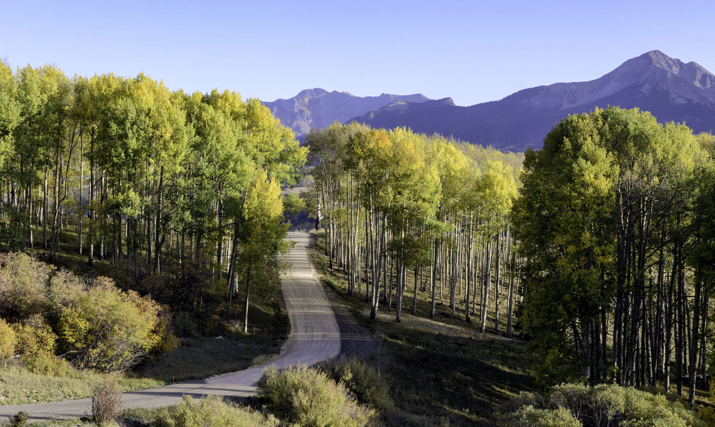 last dollar road 4.jpg