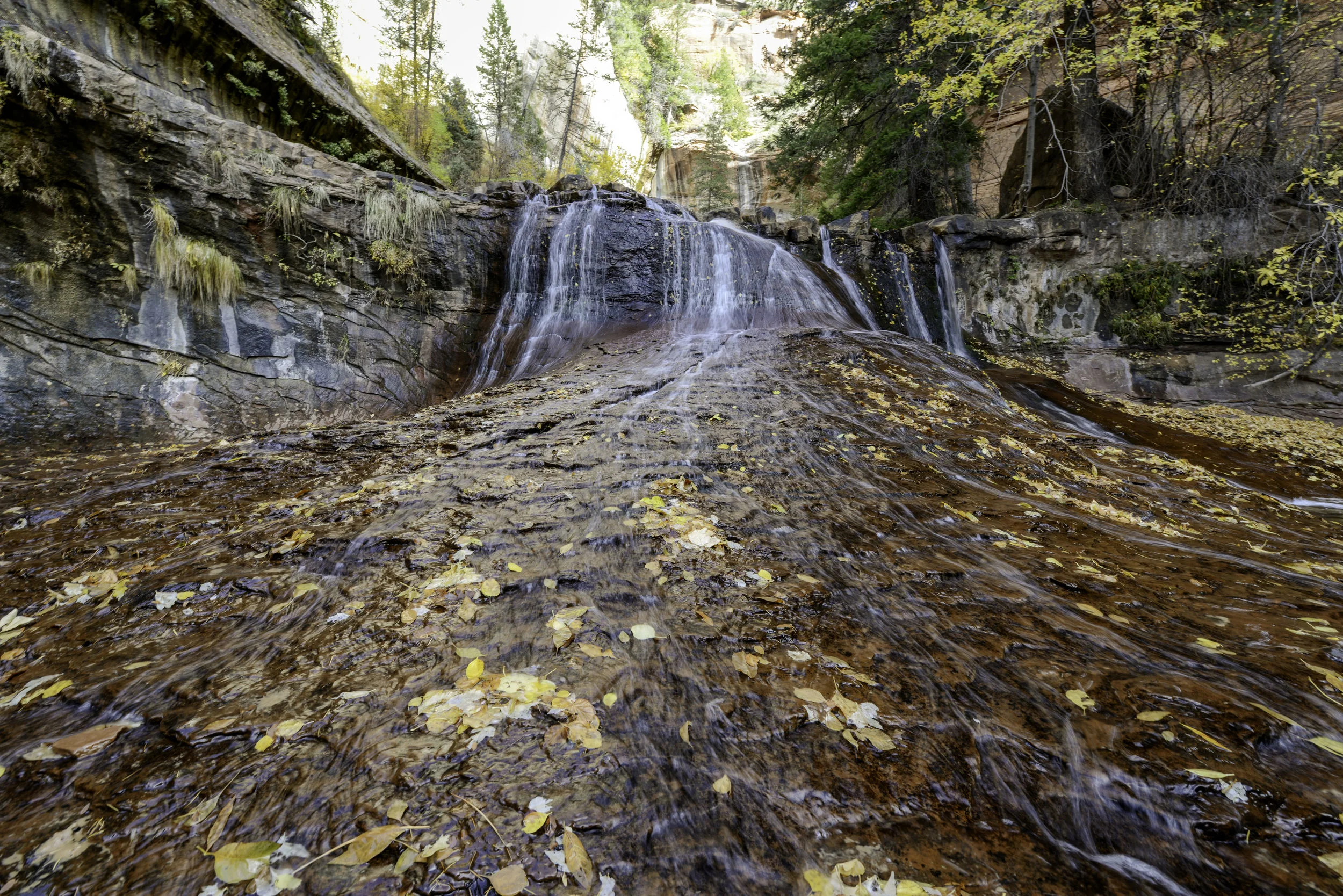 falls 6.jpg