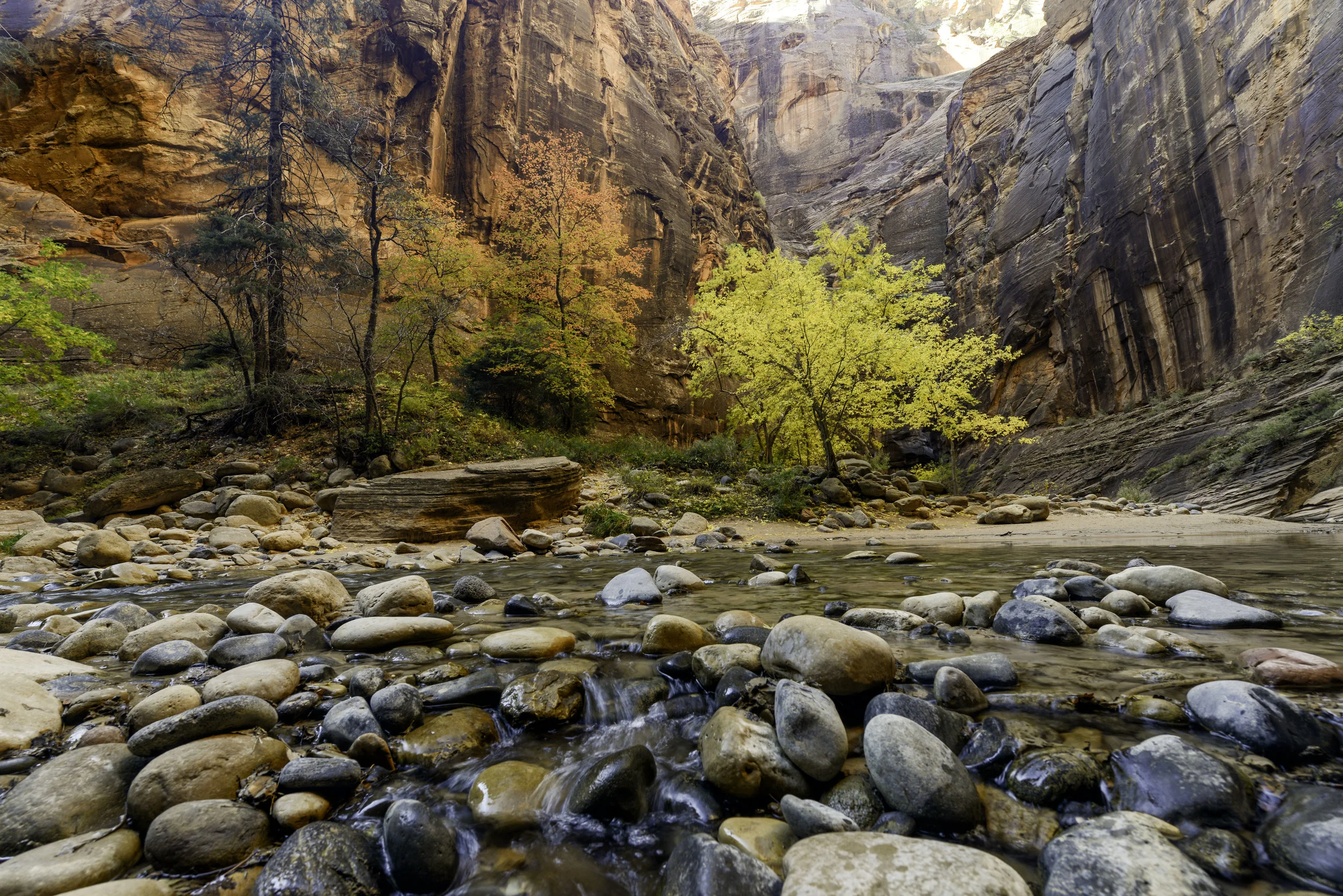 narrows 10.jpg