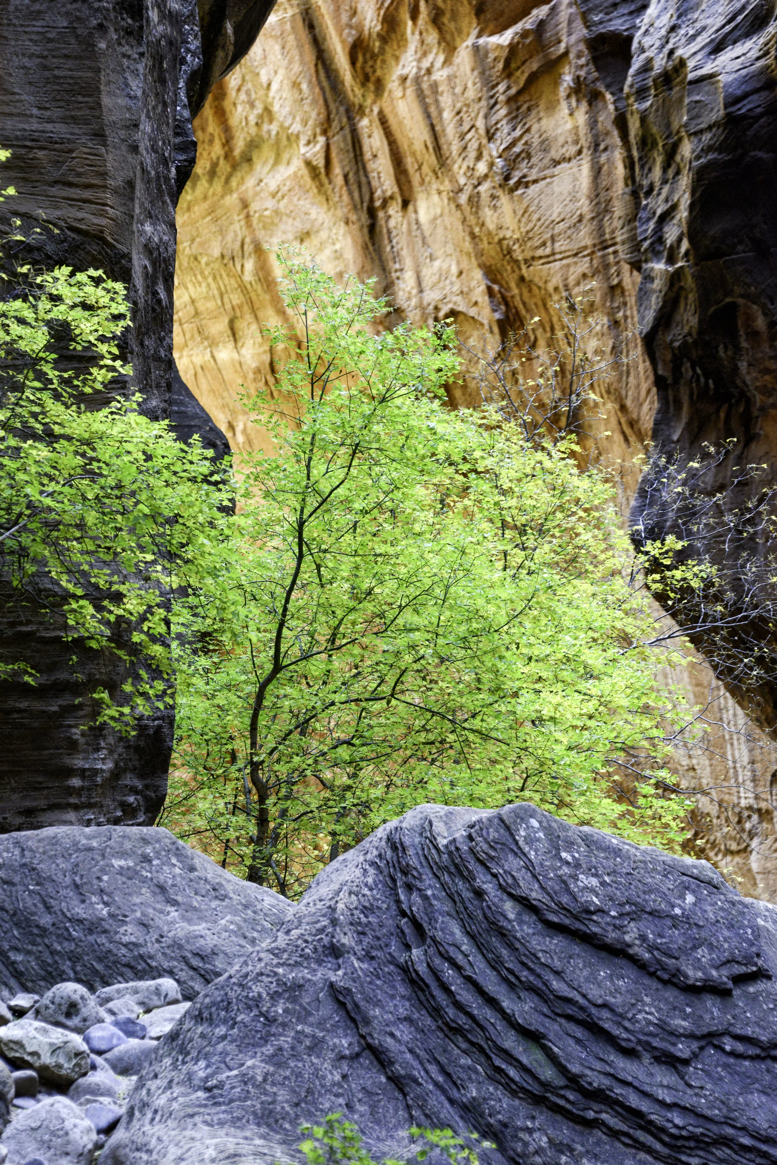 narrows 21.jpg