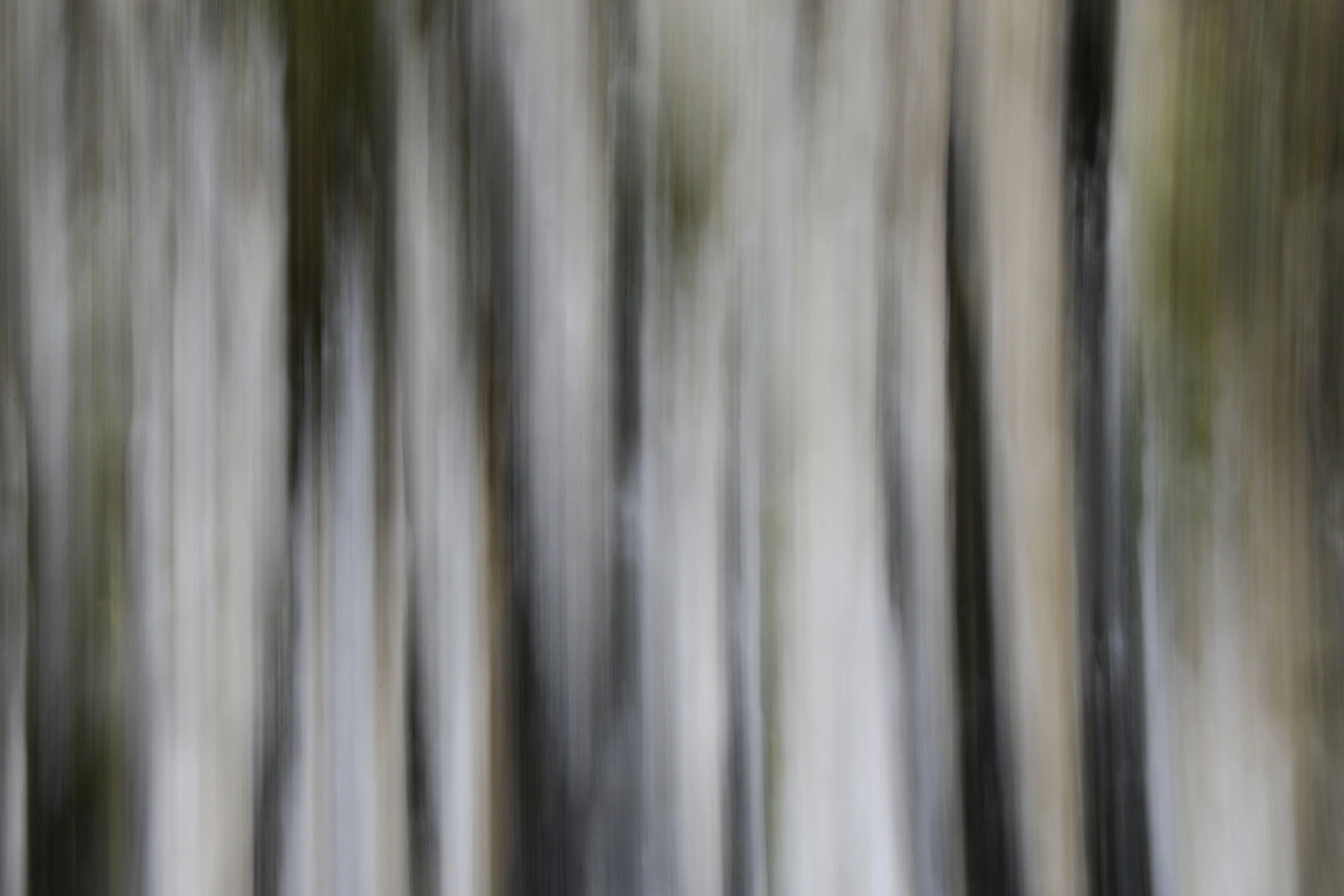 weeping rock (1 of 1)-4.jpg