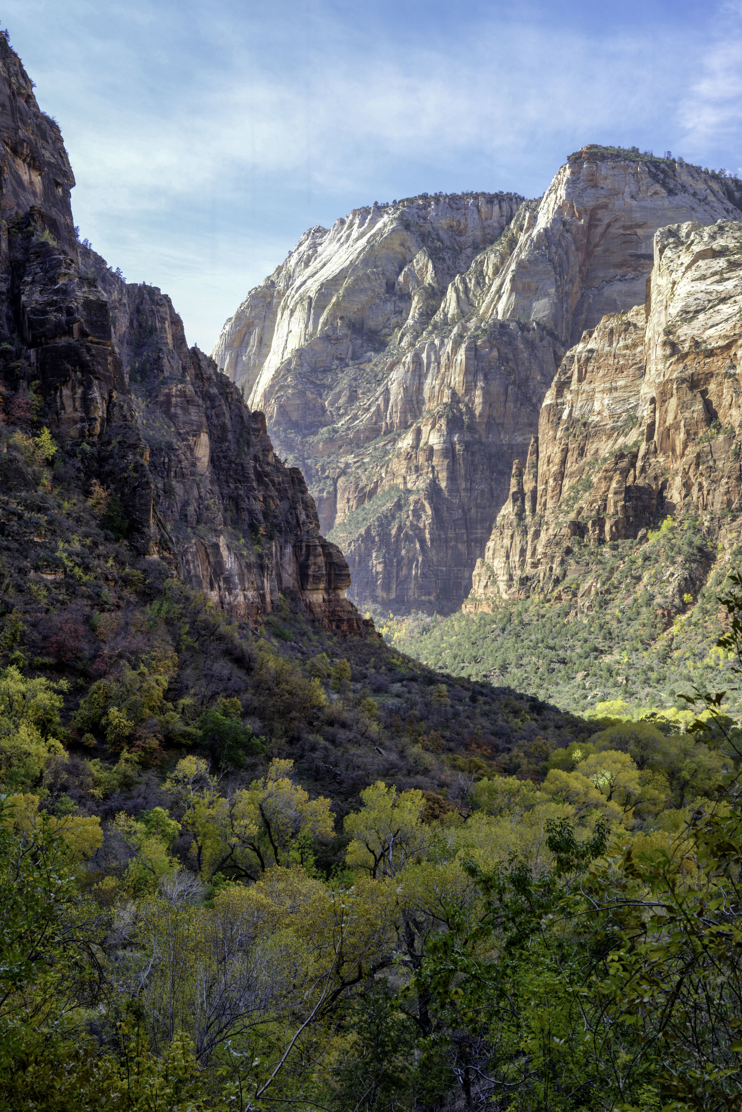 weeping rock.jpg