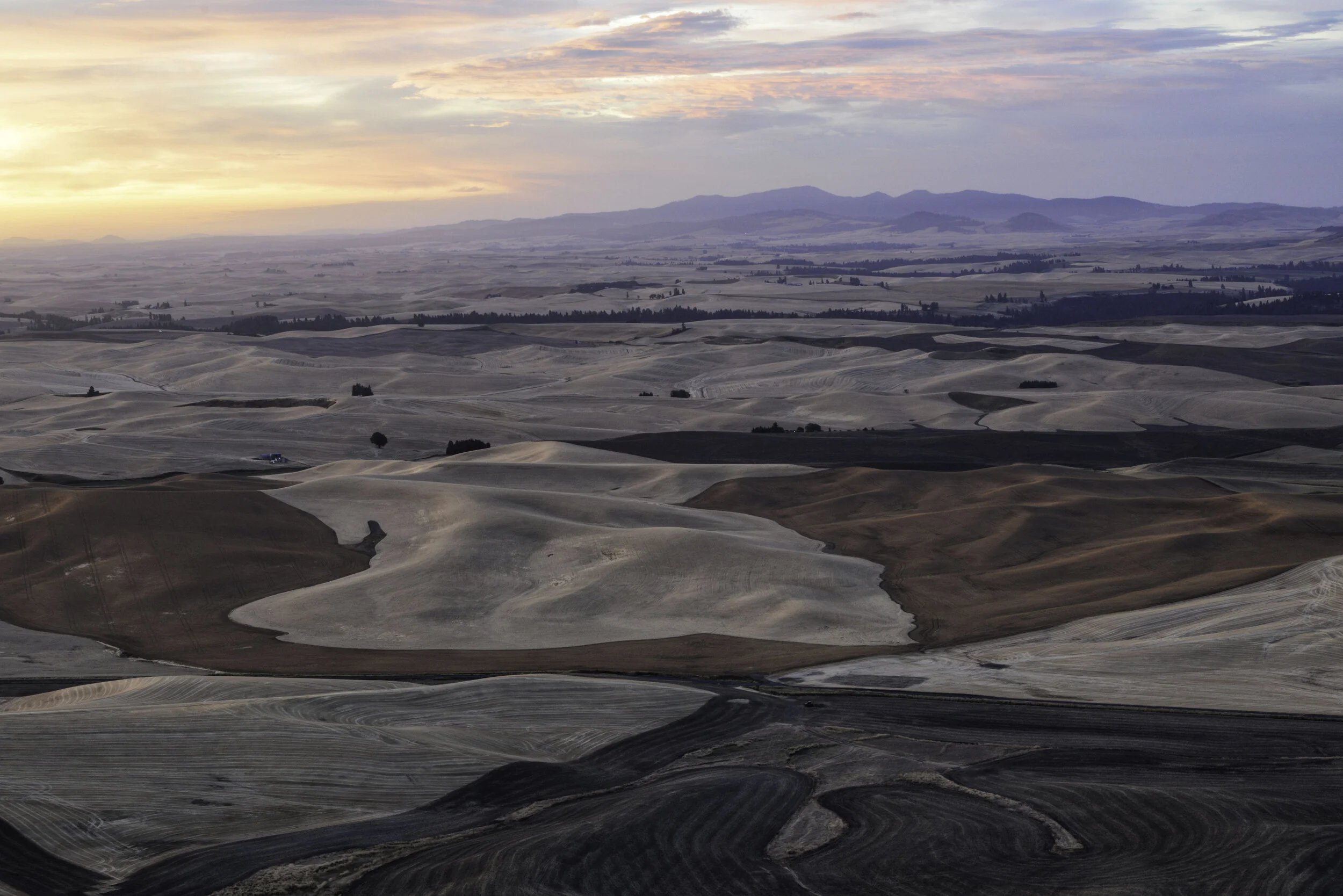 palouse 9.jpg