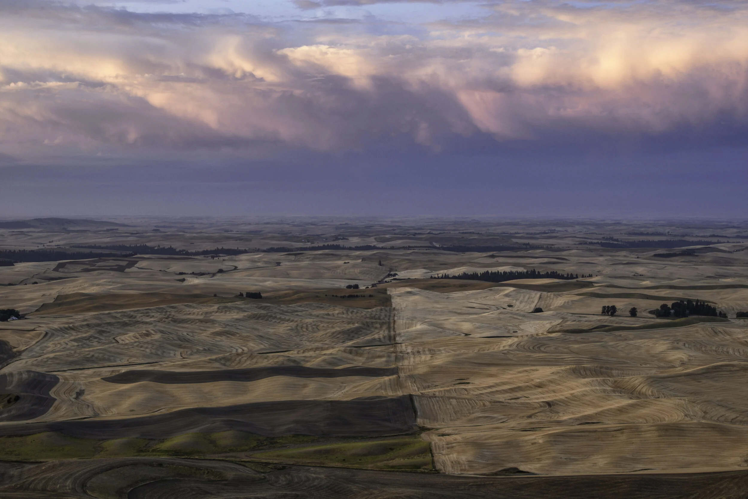 palouse 13.jpg